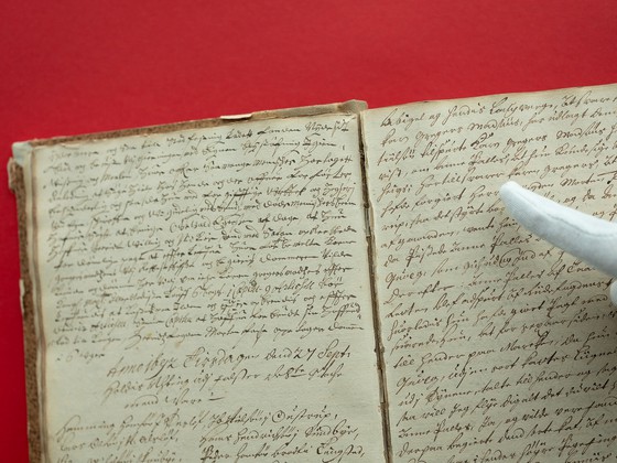 Anne Palles blev ved Falster Nørre Herred dømt for trolddom, den 27. september 1692. Palles var Danmarks sidst dømte heks, og dommen blev stadfæstet ved Højesteret. Hun blev halshugget, inden hun blev brændt.